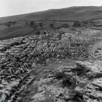 Clint's, Malham Cove